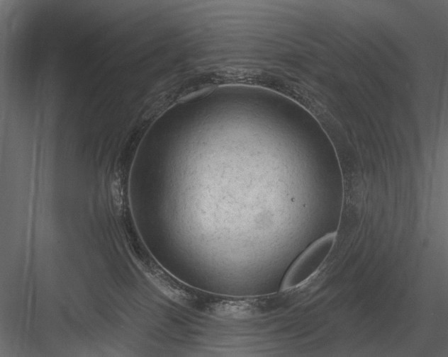 X0000084050086200702240003