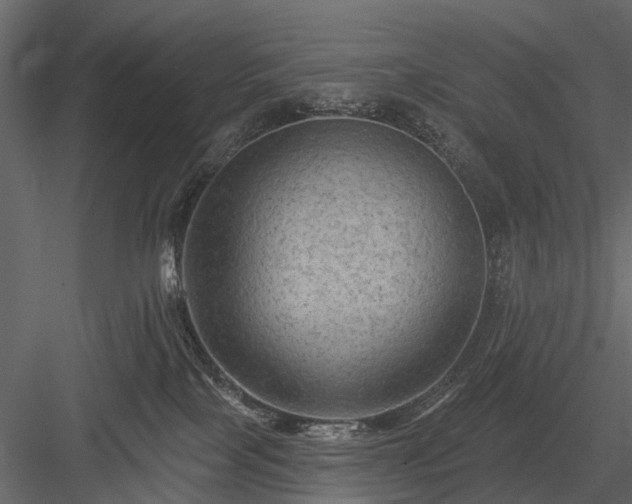 X0000084050089200702240003