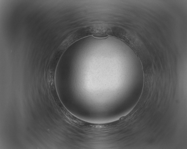 X0000084050091200702240003