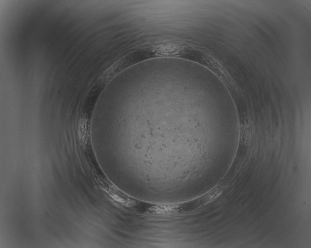 X0000084050093200702240003