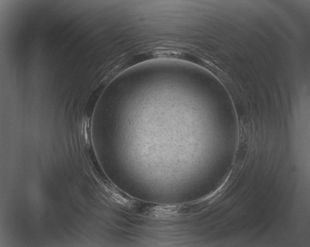 X0000084050094200702240003