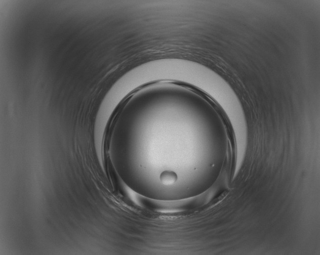 X0000084050095200702240003