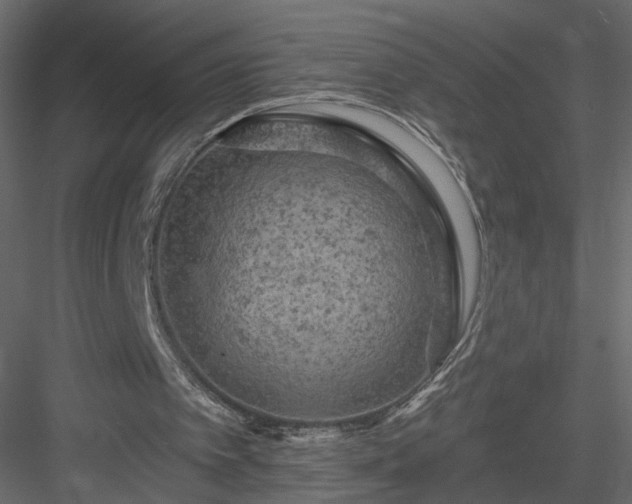 X0000084050097200702240002