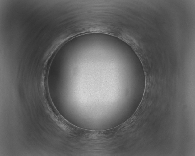 X0000084050098200702240002