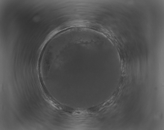 X0000084050099200702240002