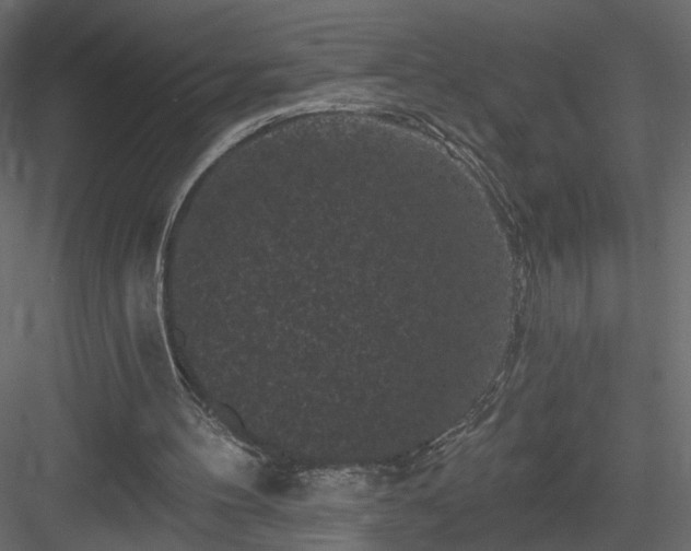 X0000084050100200702240002