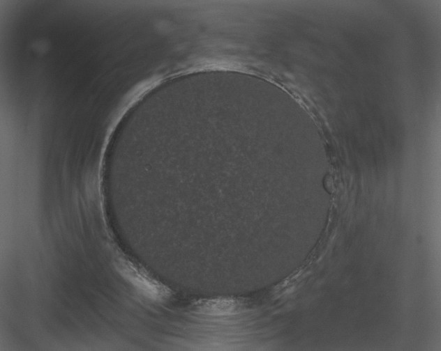 X0000084050104200702240002