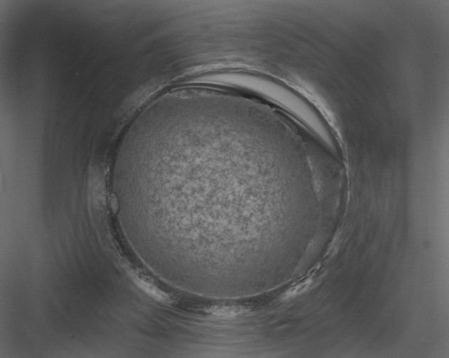 X0000084050105200702240002