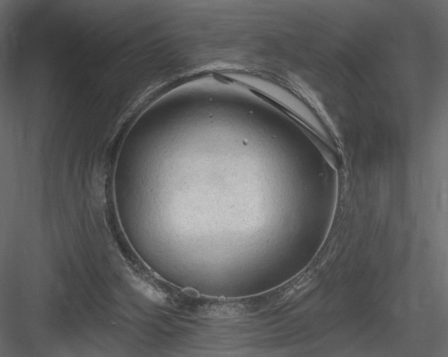 X0000084050106200702240002