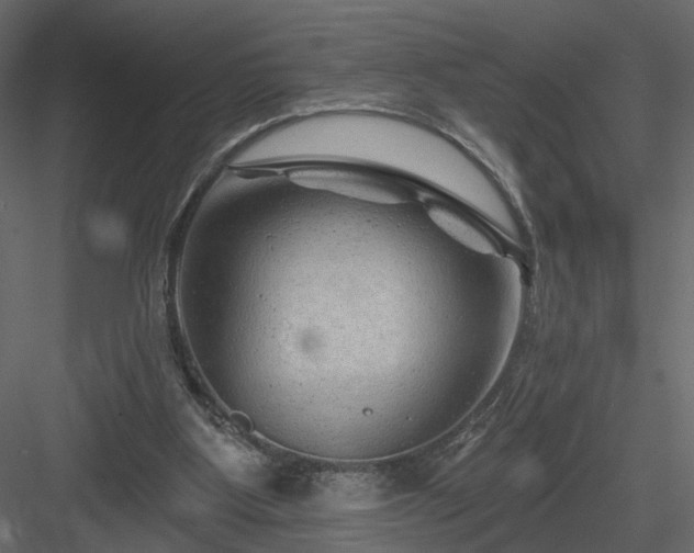 X0000084050107200702240002