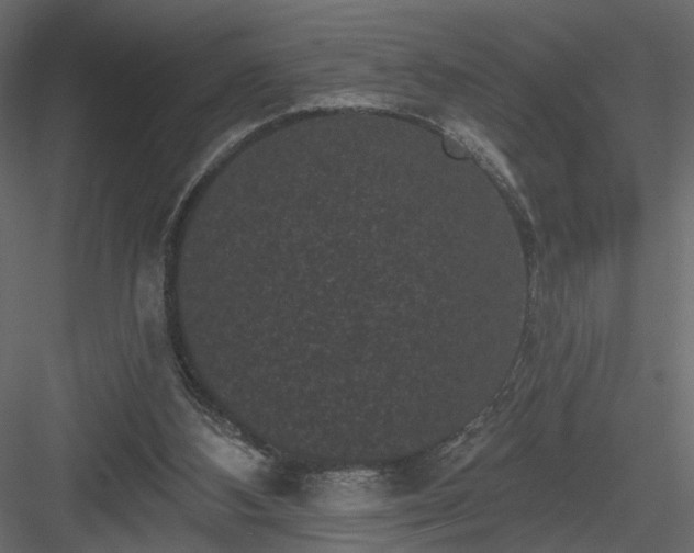 X0000084050108200702240002