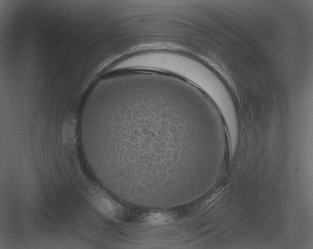 X0000084050111200702240002