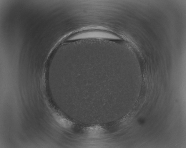 X0000084050112200702240002