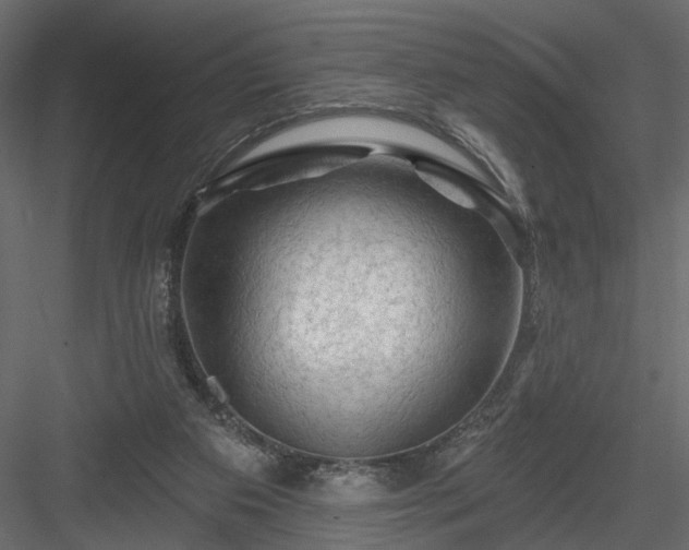 X0000084050113200702240002