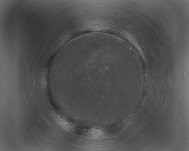 X0000084050114200702240002