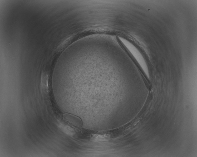 X0000084050115200702240002