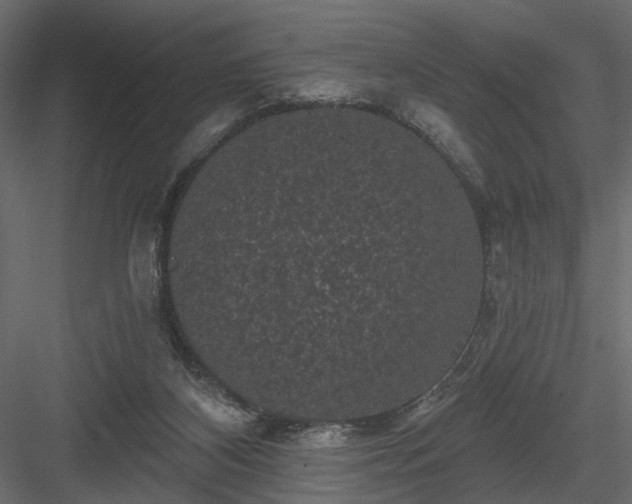 X0000084050116200702240002