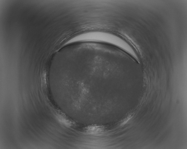 X0000084050117200702240002