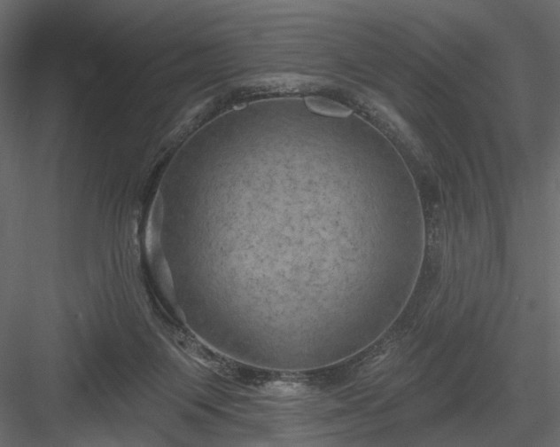 X0000084050119200702240002