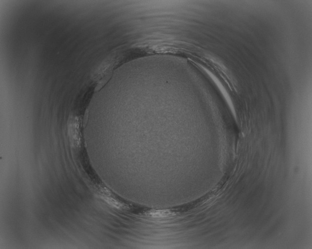 X0000084050121200702240002