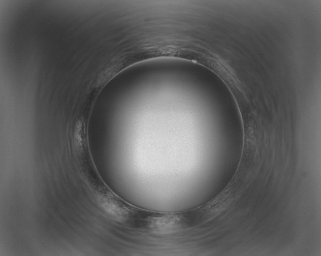 X0000084050122200702240002