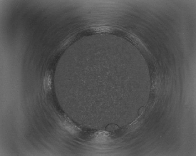 X0000084050124200702240002