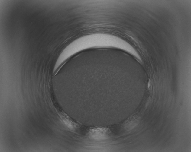 X0000084050125200702240002