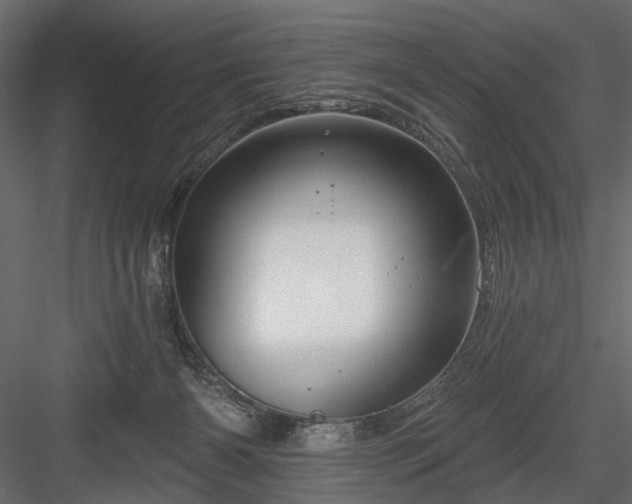 X0000084050126200702240002