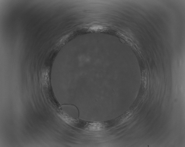 X0000084050127200702240002