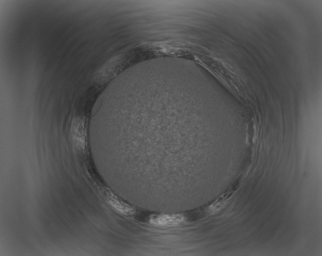 X0000084050129200702240002