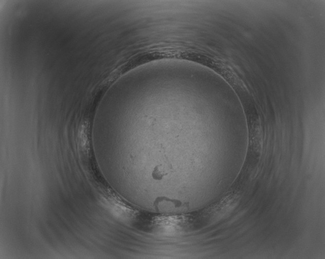 X0000084050131200702240001