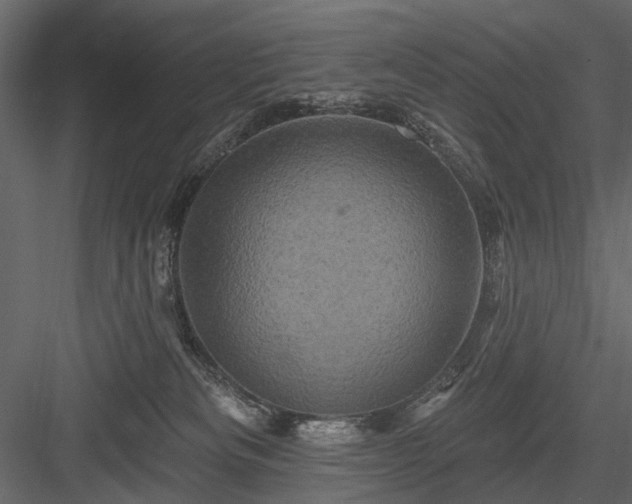 X0000084050133200702240001