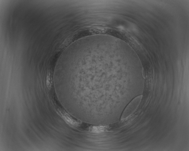 X0000084050134200702240001