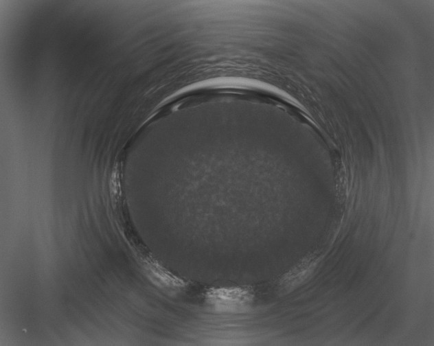 X0000084050137200702240001