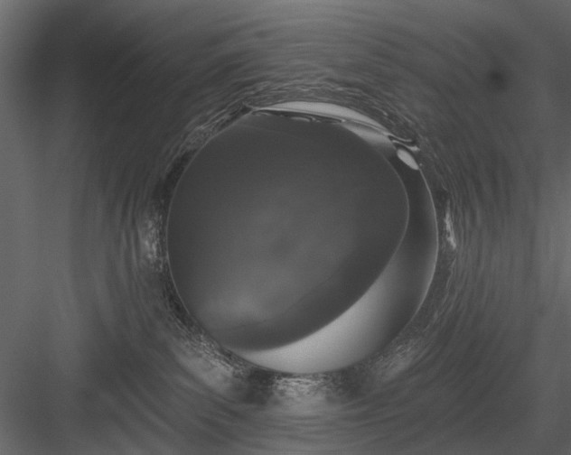 X0000084050139200702240001