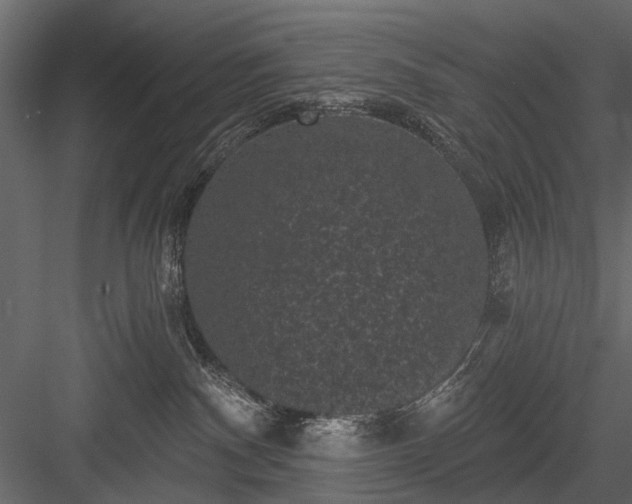 X0000084050140200702240001