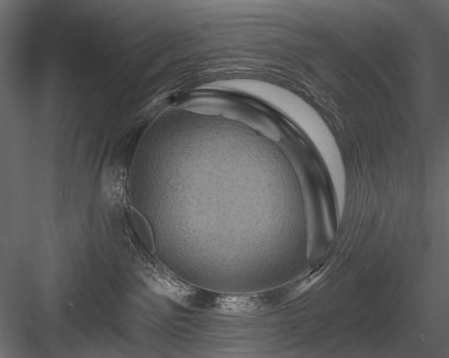 X0000084050141200702240001