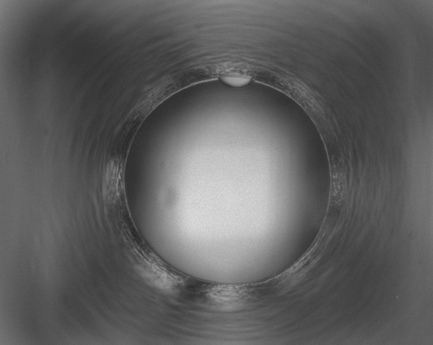 X0000084050142200702240001