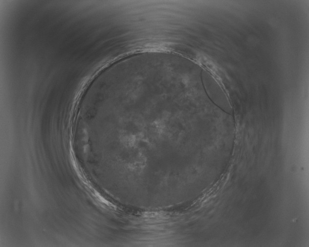 X0000084050145200702240000