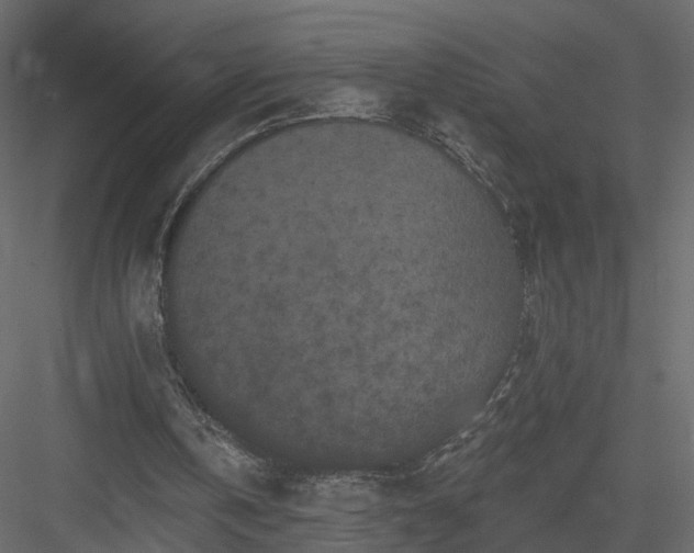 X0000084050146200702240000