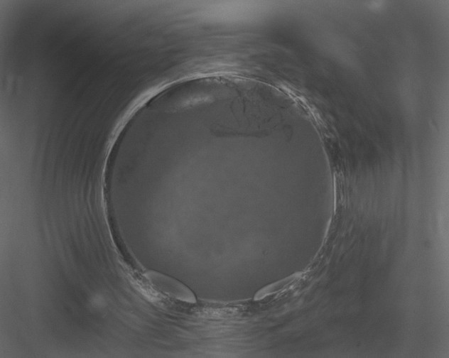 X0000084050147200702240000