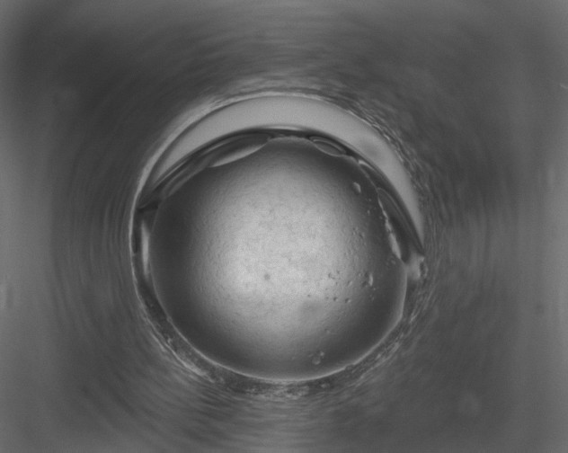 X0000084050148200702240000