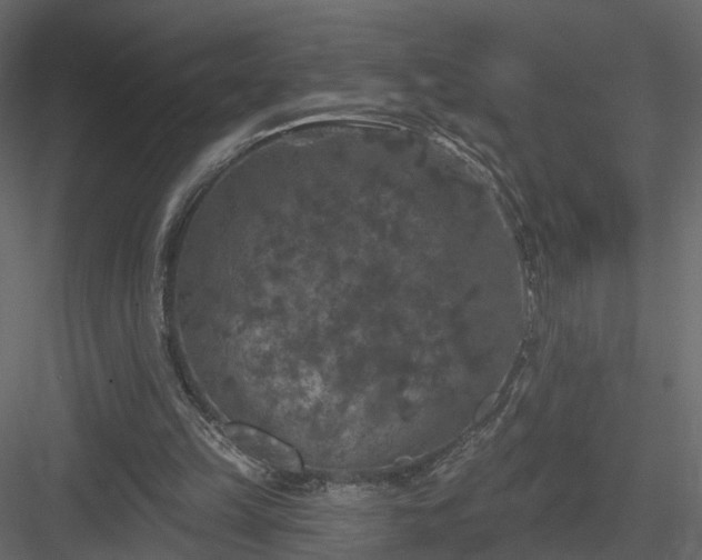 X0000084050149200702240000