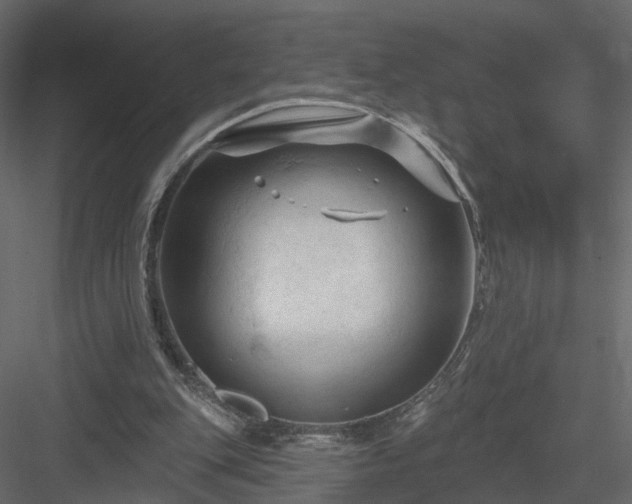 X0000084050151200702240000