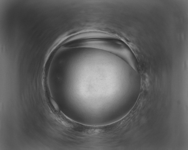 X0000084050152200702240000