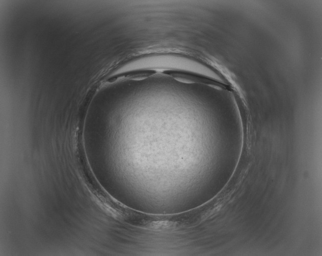 X0000084050153200702240000