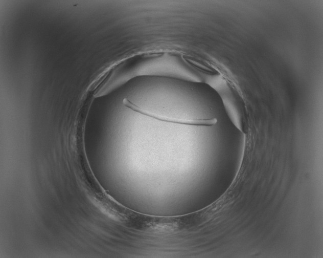 X0000084050155200702240001