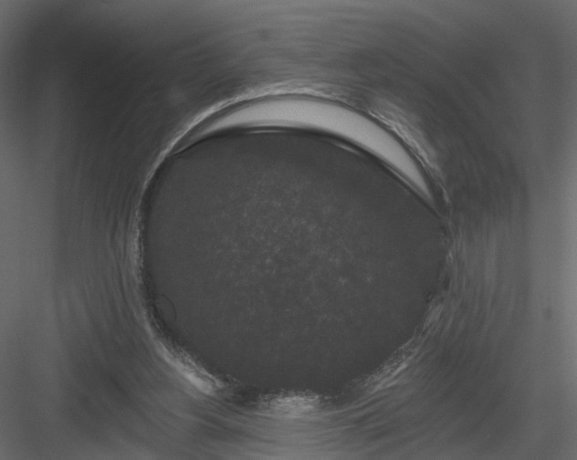 X0000084050156200702240001