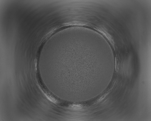 X0000084050157200702240001