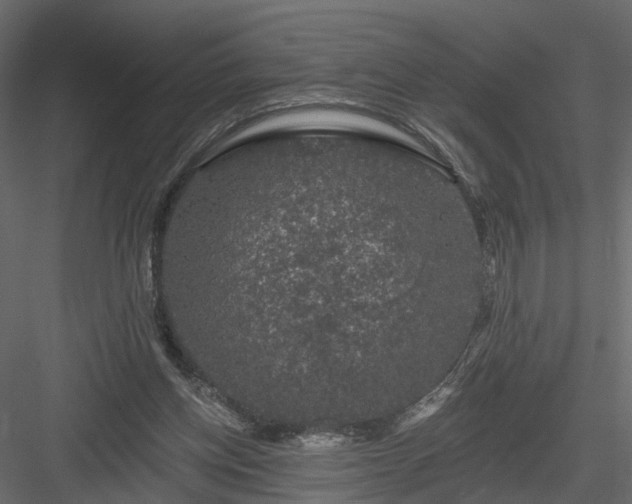 X0000084050158200702240001